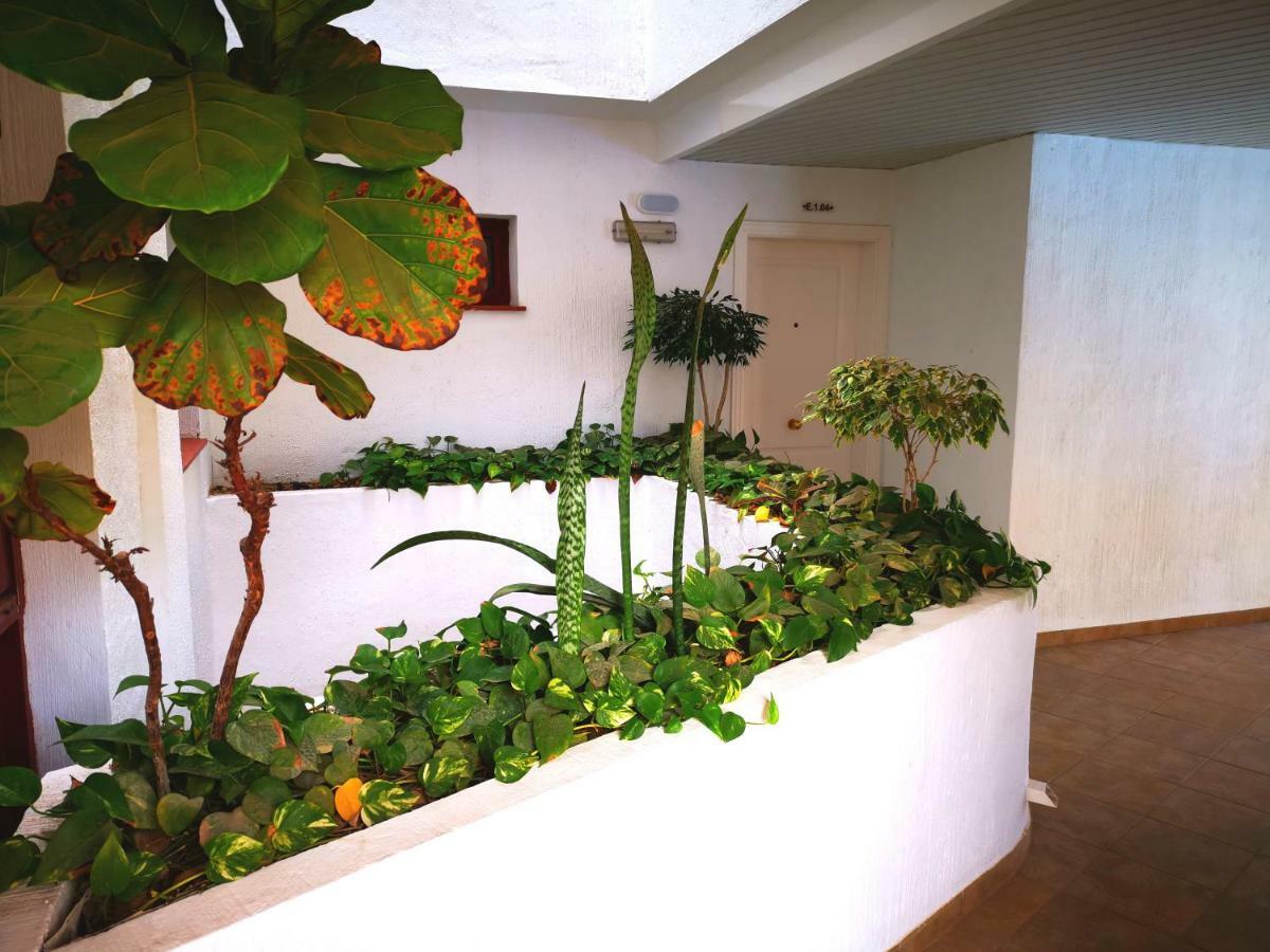 Beautiful Apartment بالم مار المظهر الخارجي الصورة